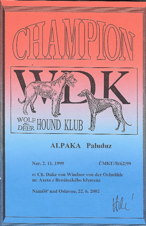 Champion of WDK